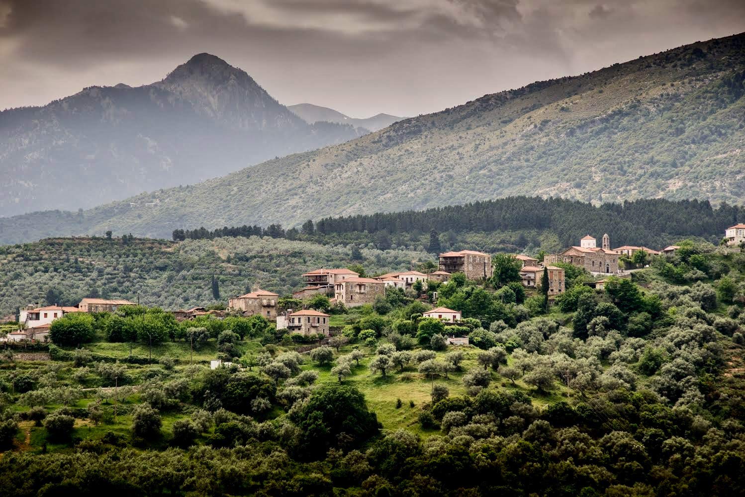 Ancient Foods Keros Organic Extra Virgin Olive Oil Cold Pressed β Greek EVOO, High Polyphenol Olive Oil from 1000 Year Old Trees from Greece β Ideal for Cooking, Salads & Gourmet Dishes β 101oz (3L)