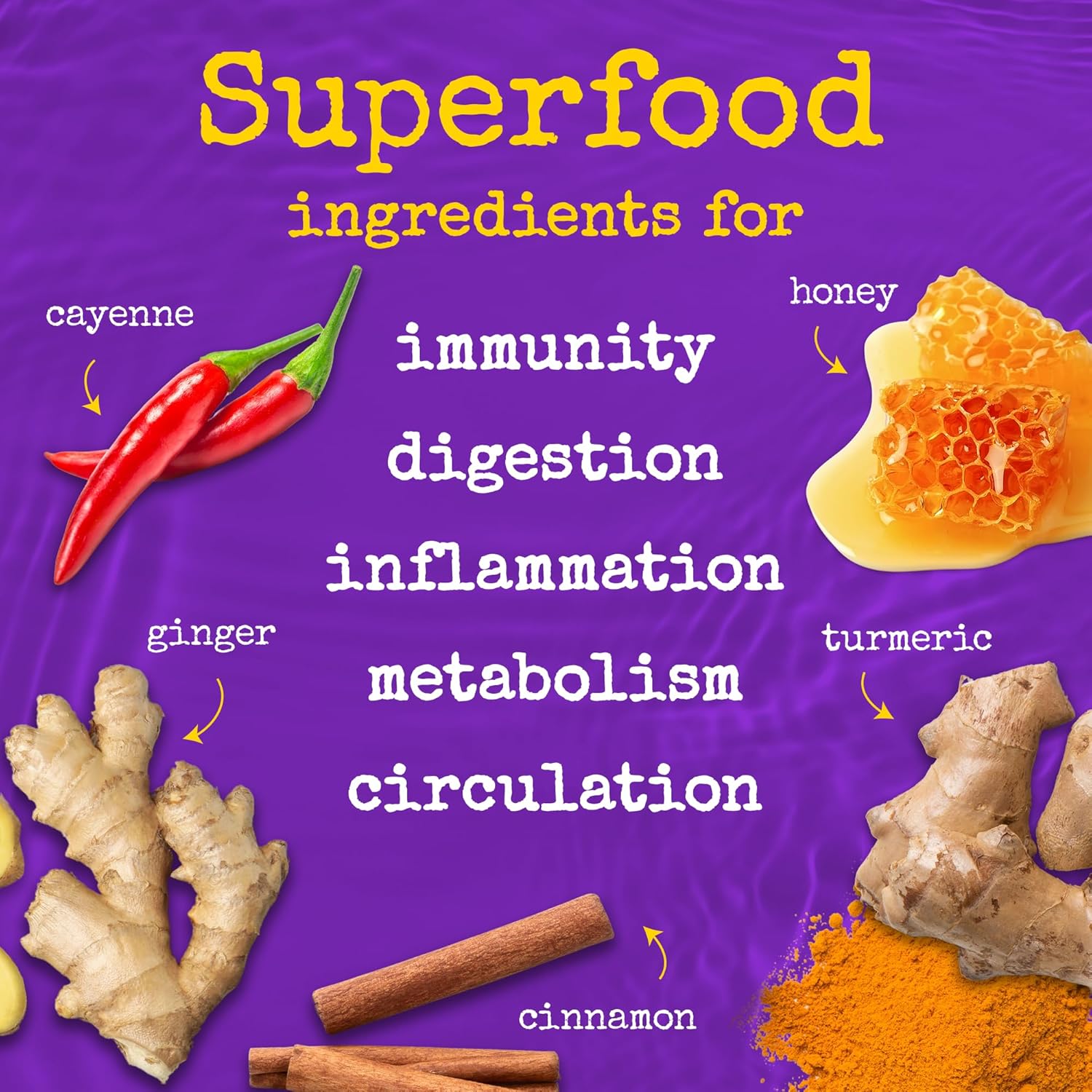 The Twisted Shot | Organic Apple Cider Vinegar Wellness Shots with Ginger, Turmeric, Honey, Cinnamon and Cayenne | Digestion, Immunity and Gut Health Support | Ready to Drink | 12, 2 oz Mini Bottles