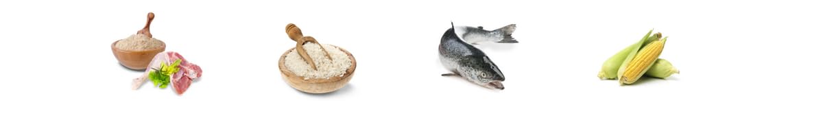 JOSERA Culinesse (1 x 10 kg) | Adult | Premium Trockenfutter für ausgewachsene wählerische Katzen | Lachs & Geflügel | gut verträglich | moderater Fettgehalt | weizenfrei | Katzenfutter | 1er Pack