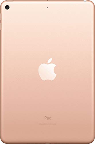 Apple iPad Mini, 5th Gen (Wi-Fi, 64GB) - Space Gray (Renewed)