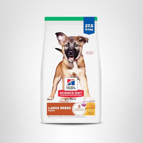 Hill's Science Diet Large Breed Puppy Food, DHA to Support Healthy Development, Chicken & Brown Rice Dry Dog Food, 15.5 lb. Bag