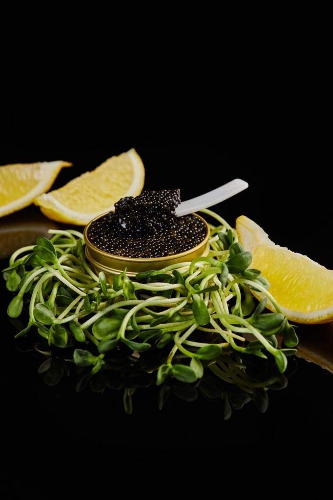 Schwarzer Störkaviar | Sibirischer Stör | Acipenser baerii | Fischkaviar | Malossol-Kaviar | Schwarzer Kaviar | Marke - TSARINE Caviar | Kostenlose Express-Kühllieferung (100g)