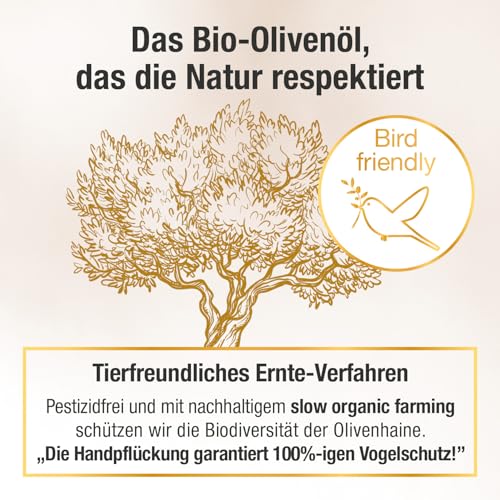 Das Olivenöl mit Gesundheitswert – extra hoher Polyphenol-Gehalt 950 mg/kg – Bio-Qualität – nur 1 Esslöffel/Tag – Oliv PLUS – 500 ml – 50 Portionen