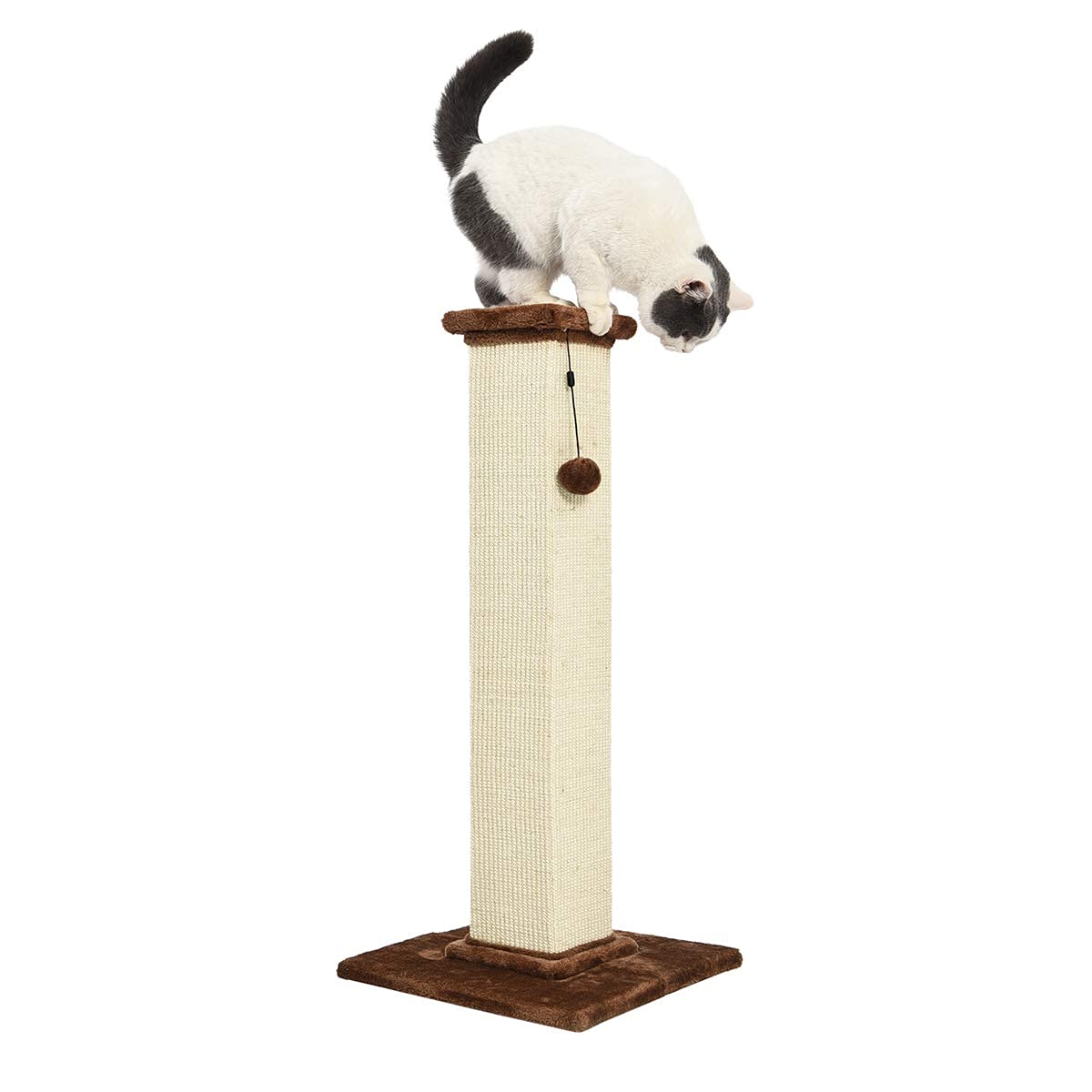 Amazon Basics Mittelgroßer Katzen-Kratzbaum, 40.01 x 40.01 x 80.01 cm, Grau