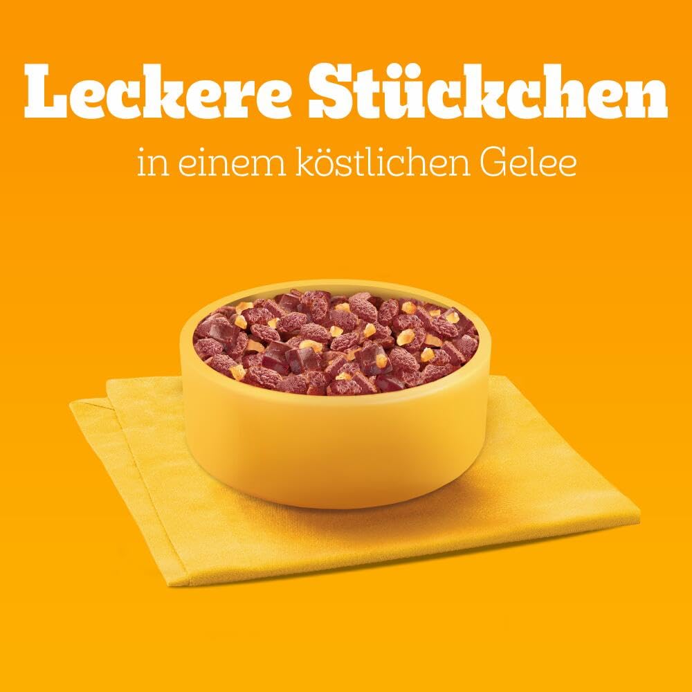 PEDIGREE DOGCARE Hundefutter Portionsbeutel Chunks in Soße Adult 40 x 100g