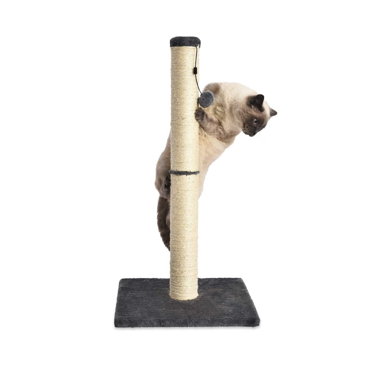 Amazon Basics Mittelgroßer Katzen-Kratzbaum, 40.01 x 40.01 x 80.01 cm, Grau