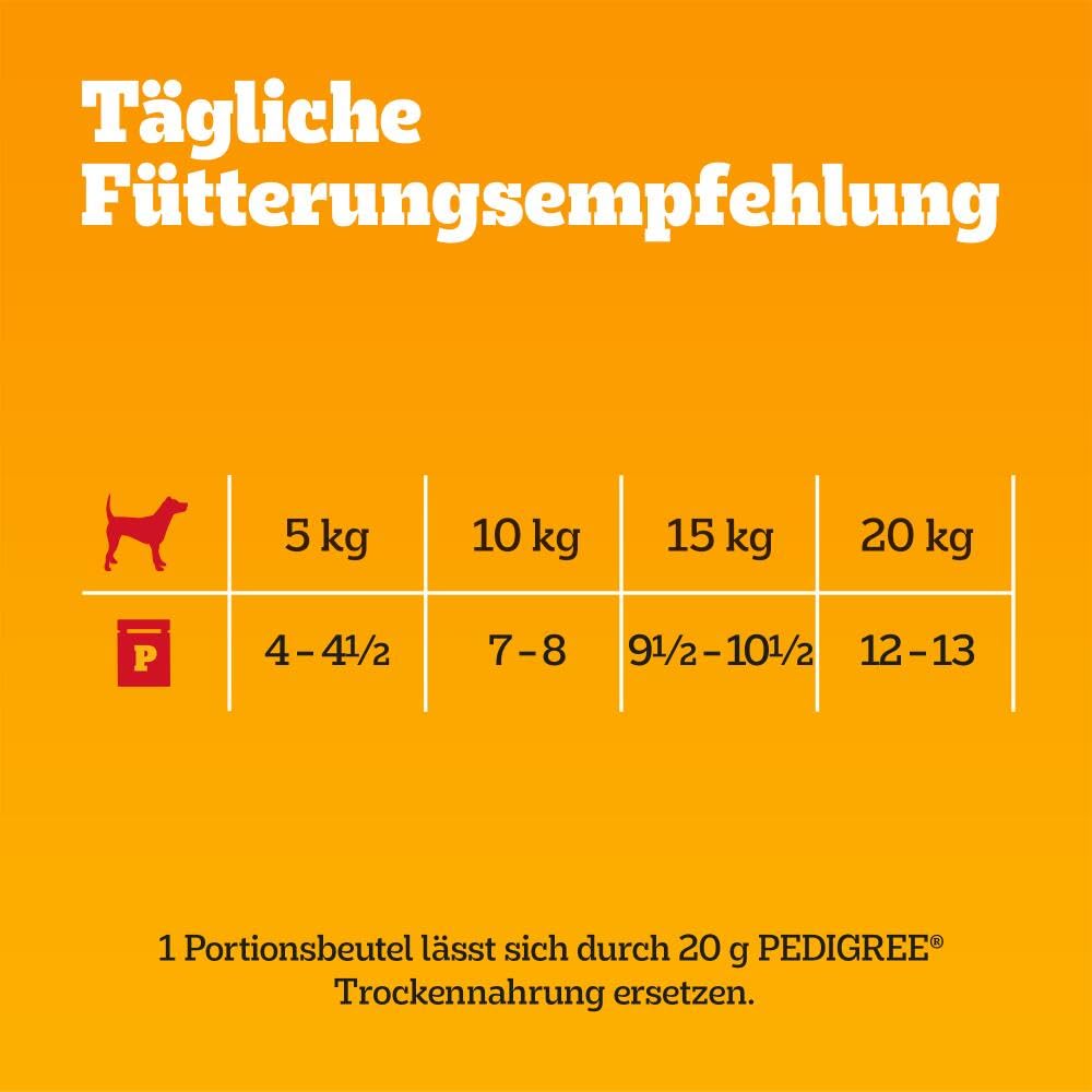 PEDIGREE DOGCARE Hundefutter Portionsbeutel Chunks in Soße Adult 40 x 100g