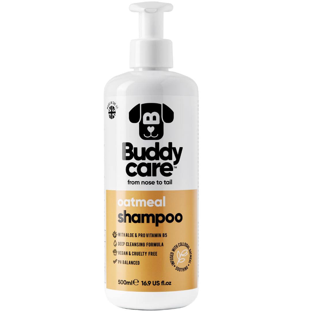 2in1 Hundeshampoo und Conditioner von Buddycare (500ml) - Praktisches Hundeshampoo langhaar und welpen Shampoo Mit Aloe Vera und Pro-Vitamin B5 Rückfettendes Shampoo Für Alle Hunderassen
