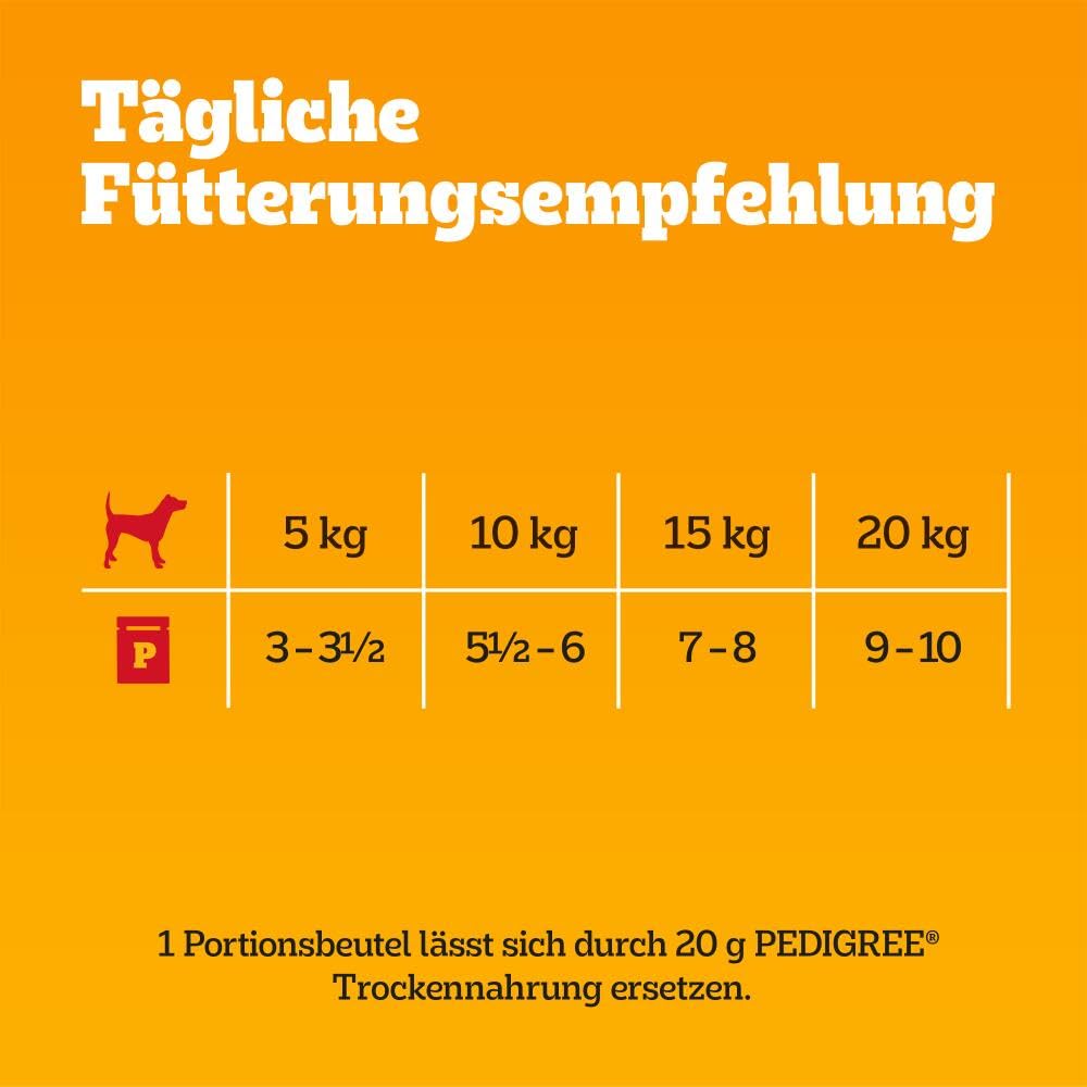 PEDIGREE DOGCARE Hundefutter Portionsbeutel Chunks in Soße Adult 40 x 100g