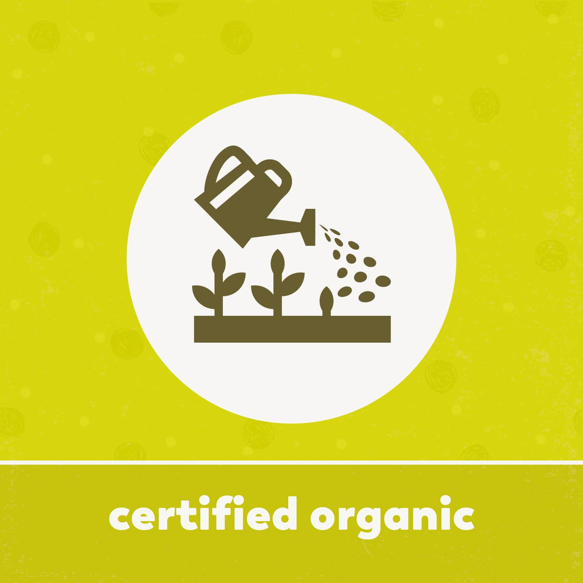 Yupik Organic Raw California Walnuts, Halves, 2.2 lb (35.2 oz), Kosher, Gluten-Free, Non-GMO, Vegan, Half Nuts, Unsalted, Unroasted, Source of Omegas, Healthy Snacks, Ideal for Baking & Cooking