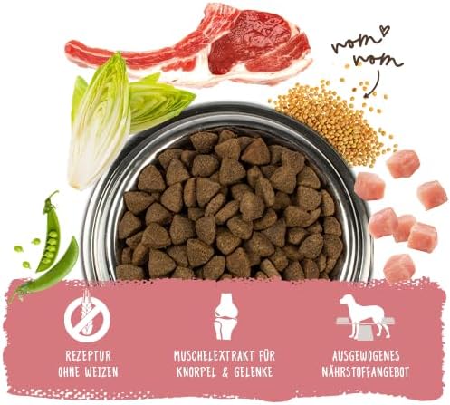 bosch HPC Adult mit Lamm & Reis | Hundetrockenfutter für ausgewachsene Hunde aller Rassen | 1 x 15 kg