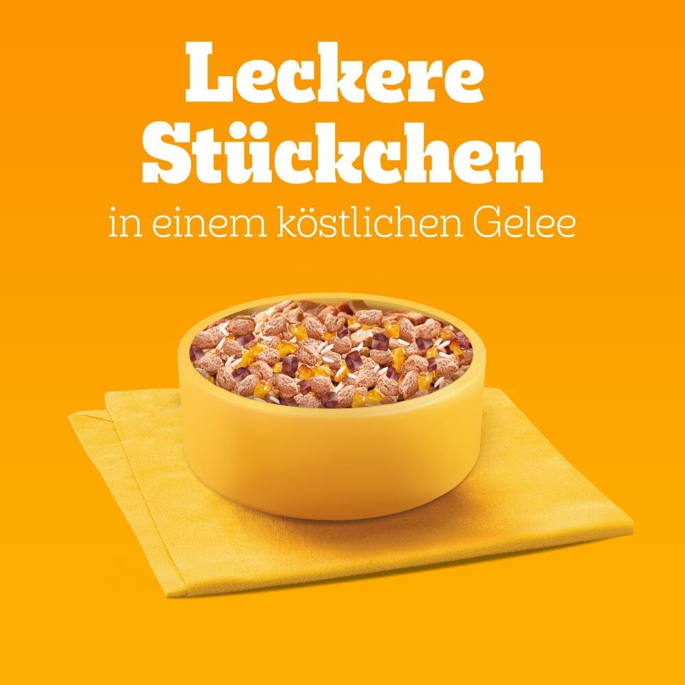 PEDIGREE DOGCARE Hundefutter Portionsbeutel Chunks in Soße Adult 40 x 100g