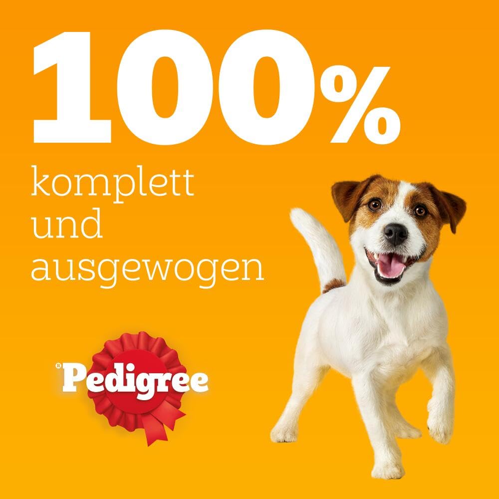 PEDIGREE DOGCARE Hundefutter Portionsbeutel Chunks in Soße Adult 40 x 100g