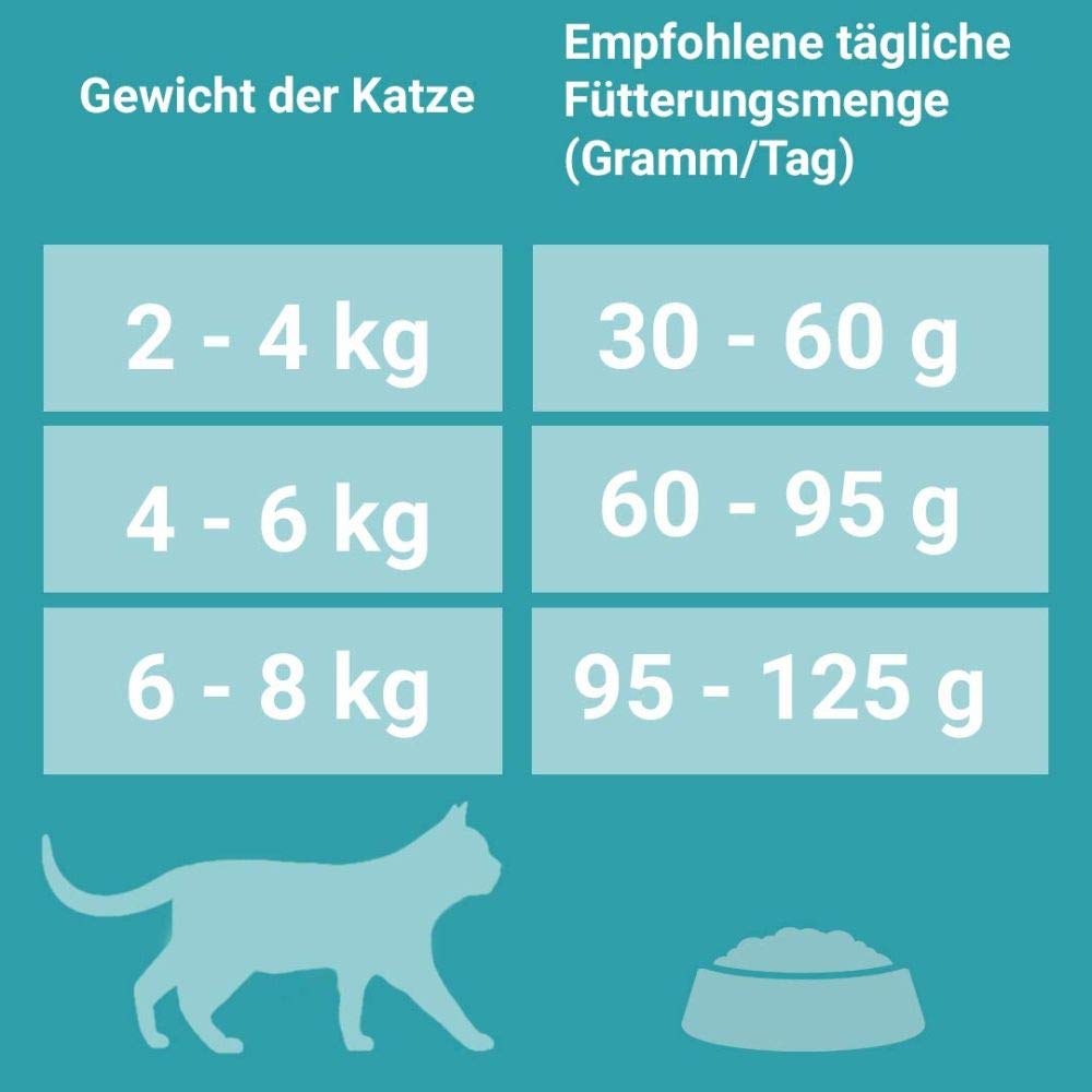 PURINA ONE BIFENSIS Adult Katzenfutter trocken, reich an Huhn, 1er Pack (1 x 5,7kg)