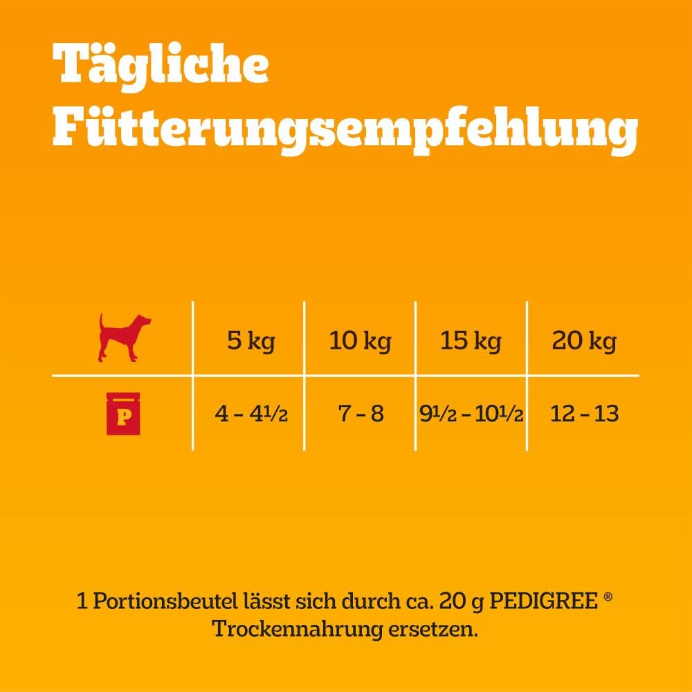 PEDIGREE DOGCARE Hundefutter Portionsbeutel Chunks in Soße Adult 40 x 100g