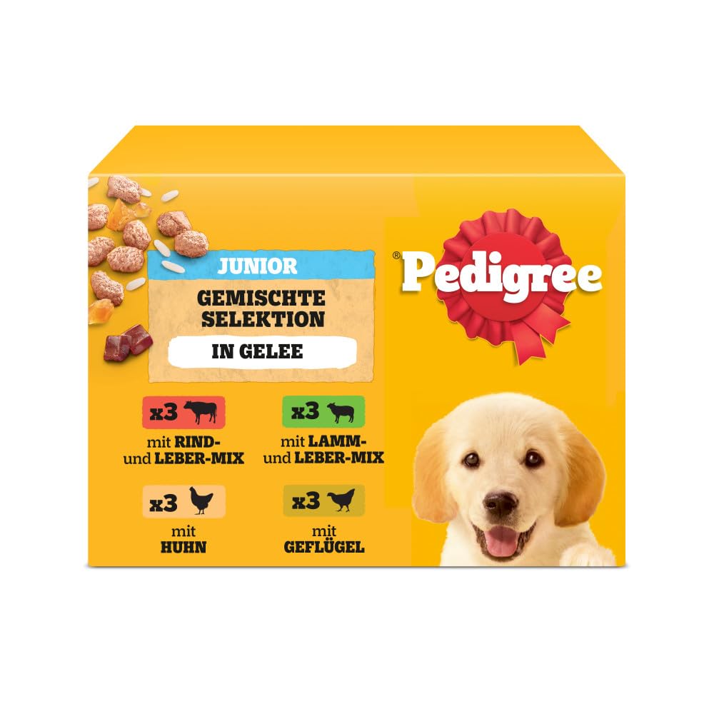 PEDIGREE DOGCARE Hundefutter Portionsbeutel Chunks in Soße Adult 40 x 100g