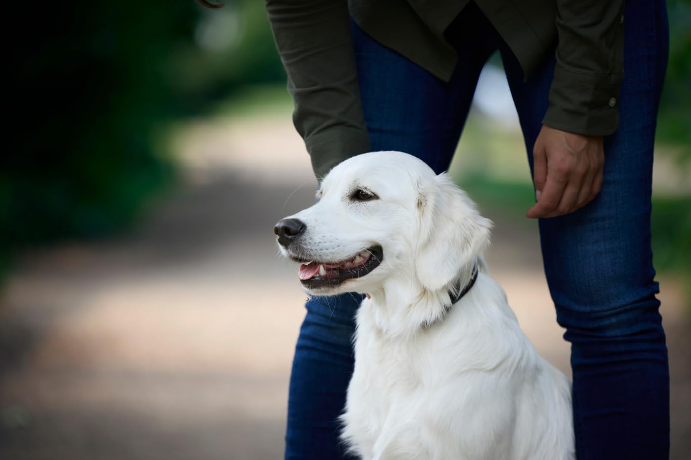 JOSERA Adult Large Optiness Lamm & Reis (1 x 12,5 kg) | Premium Trockenfutter für ausgewachsene Hunde | eiweißreduziert | weizenfrei | wertvolle Fettsäuren | XL-Kroketten gegen Schlingen