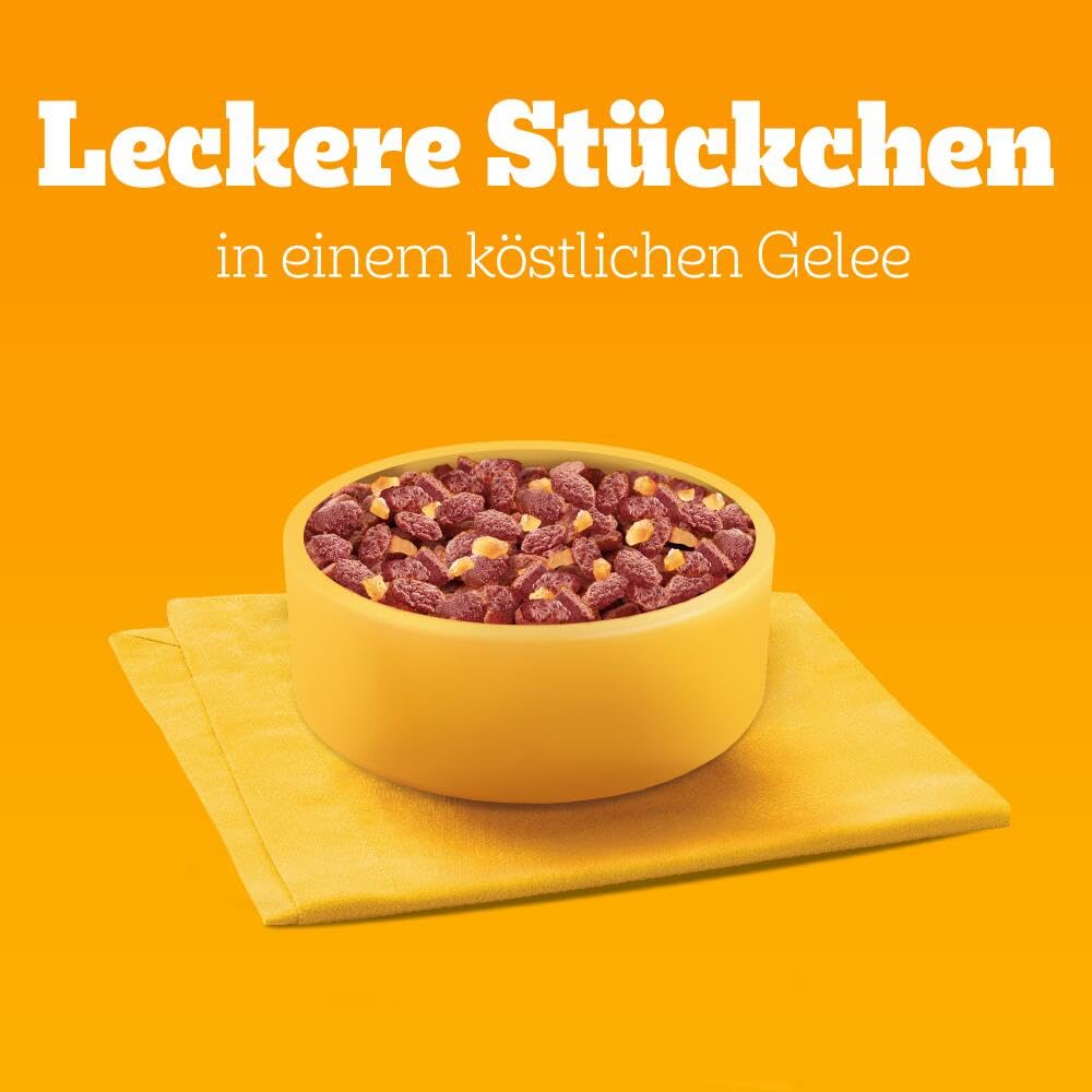 PEDIGREE DOGCARE Hundefutter Portionsbeutel Chunks in Soße Adult 40 x 100g