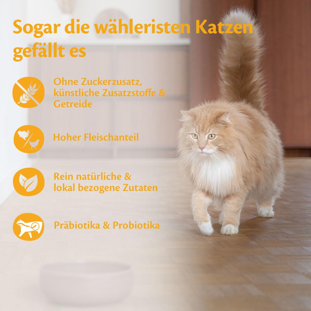 Wellness CORE Sterilised Ocean 4 kg, Lachs – Katzenfutter Trocken für sterilisierte Katzen, getreidefrei, natürlich, hypoallergen, proteinreich, unterstützt gesunde Haut und glänzendes Fell