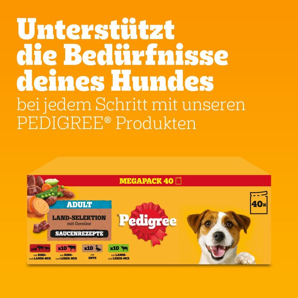 PEDIGREE DOGCARE Hundefutter Portionsbeutel Chunks in Soße Adult 40 x 100g