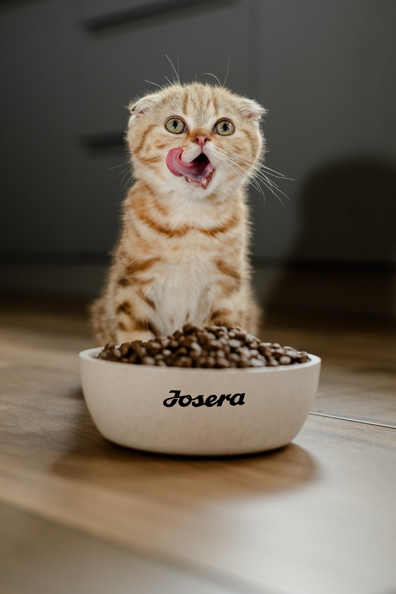JOSERA Culinesse (1 x 10 kg) | Adult | Premium Trockenfutter für ausgewachsene wählerische Katzen | Lachs & Geflügel | gut verträglich | moderater Fettgehalt | weizenfrei | Katzenfutter | 1er Pack