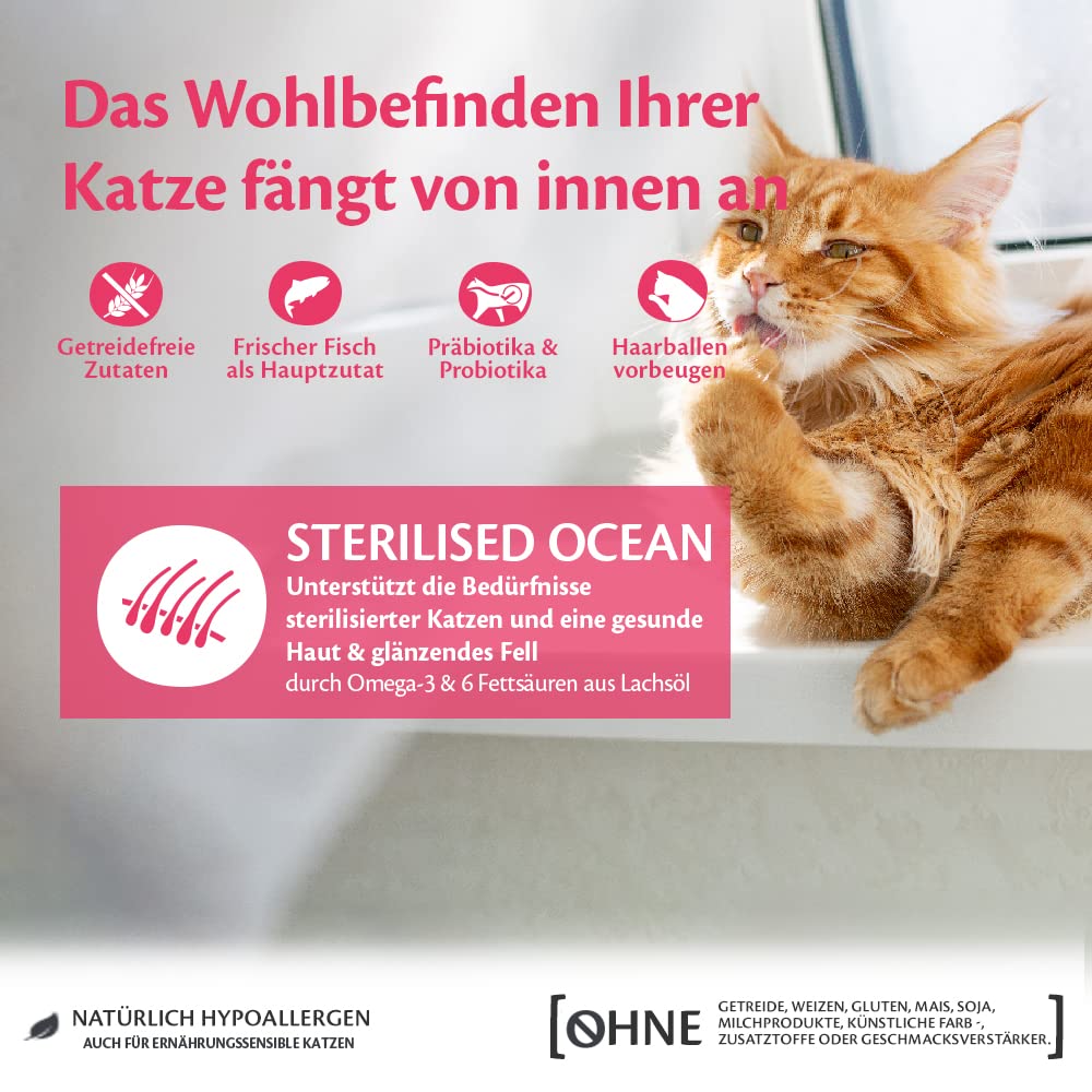Wellness CORE Sterilised Ocean 4 kg, Lachs – Katzenfutter Trocken für sterilisierte Katzen, getreidefrei, natürlich, hypoallergen, proteinreich, unterstützt gesunde Haut und glänzendes Fell