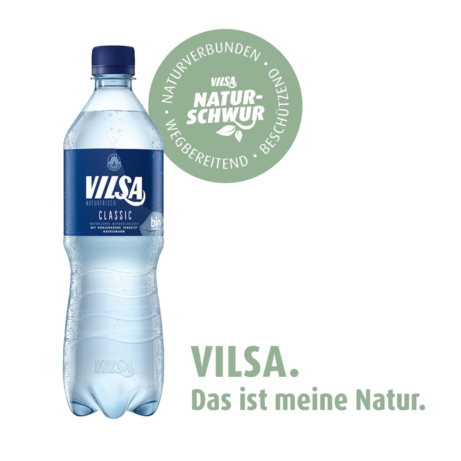 VILSA Mineralwasser Classic, 6 x 1,00 l PET (Packung mit 4)