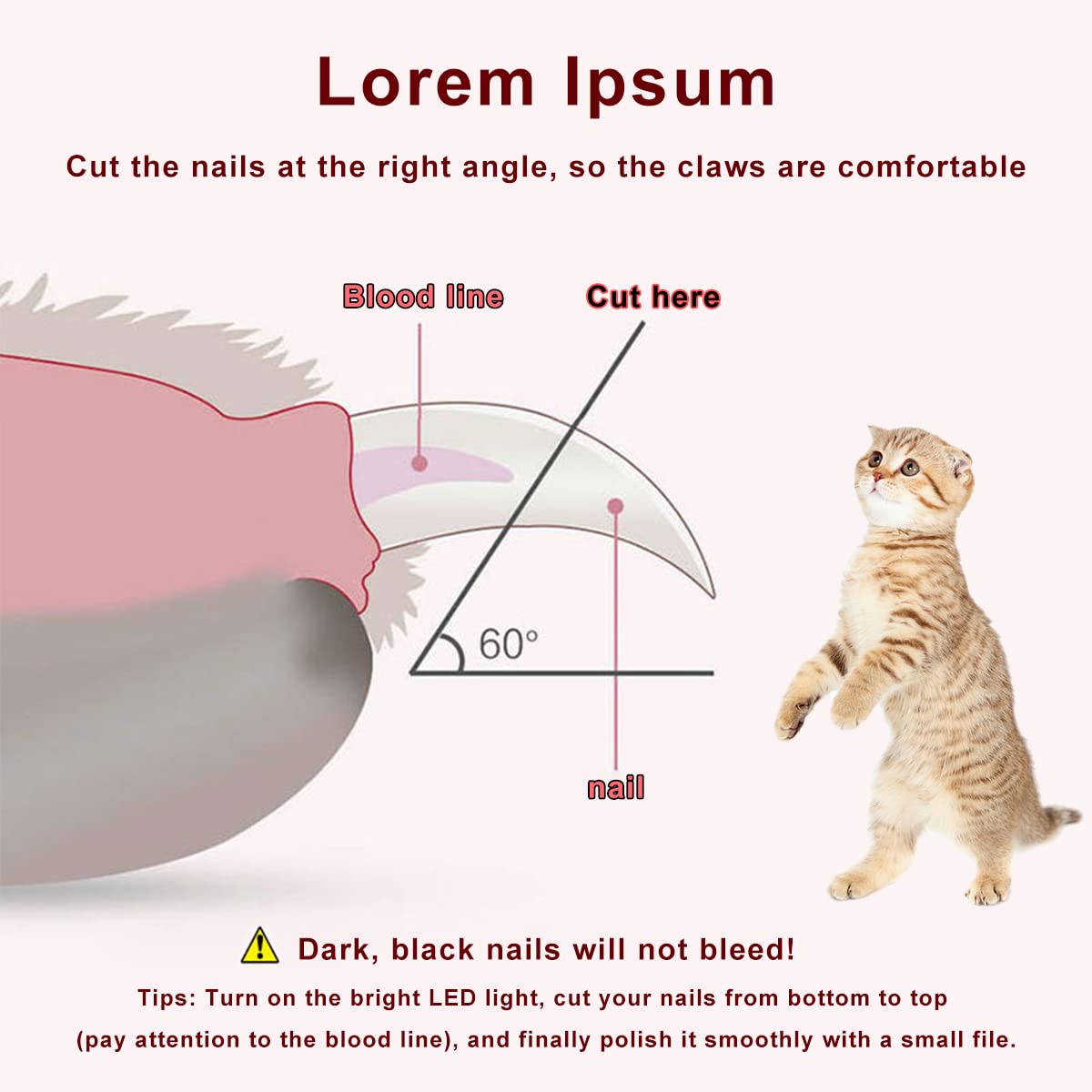 EPROICKS Nagelknipser mit Led-Licht für Hunde Katzen, Krallenschere für Katzen Hunde, mit Nagelfeile und Spritzfest Schutzvorrichtung, für Mittlere und Kleine Haustiere Krallenpflege