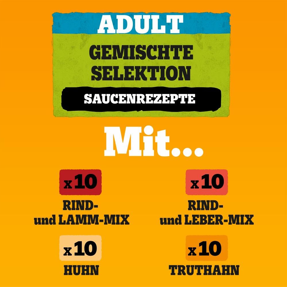 PEDIGREE DOGCARE Hundefutter Portionsbeutel Chunks in Soße Adult 40 x 100g