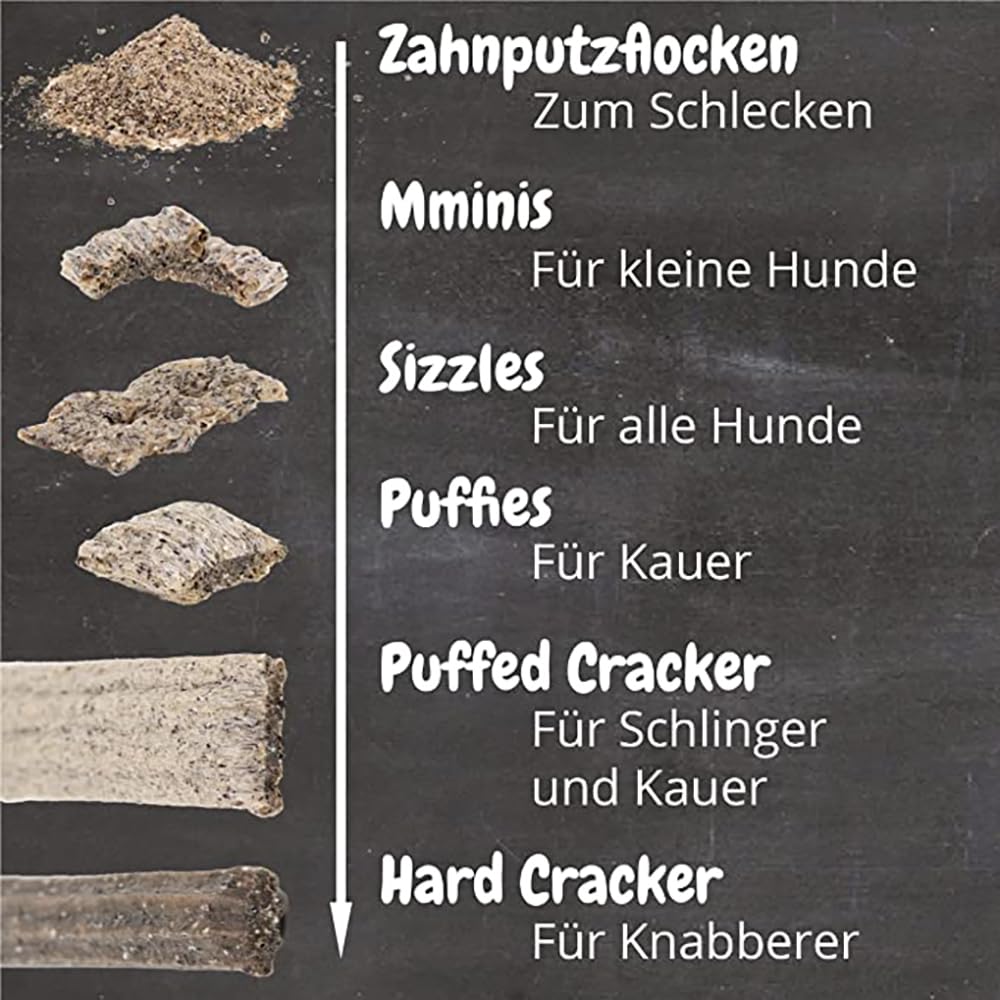 QCHEFS 2er Pack Großpackung Papie Zahnputzflocken für große Hunde - Zahnpflege Hund, ohne Dentalspray für Hunde, Zahnsteinentferner & Mundgeruch Kontrolle, Ideal für Hunde von der Schleckmatte