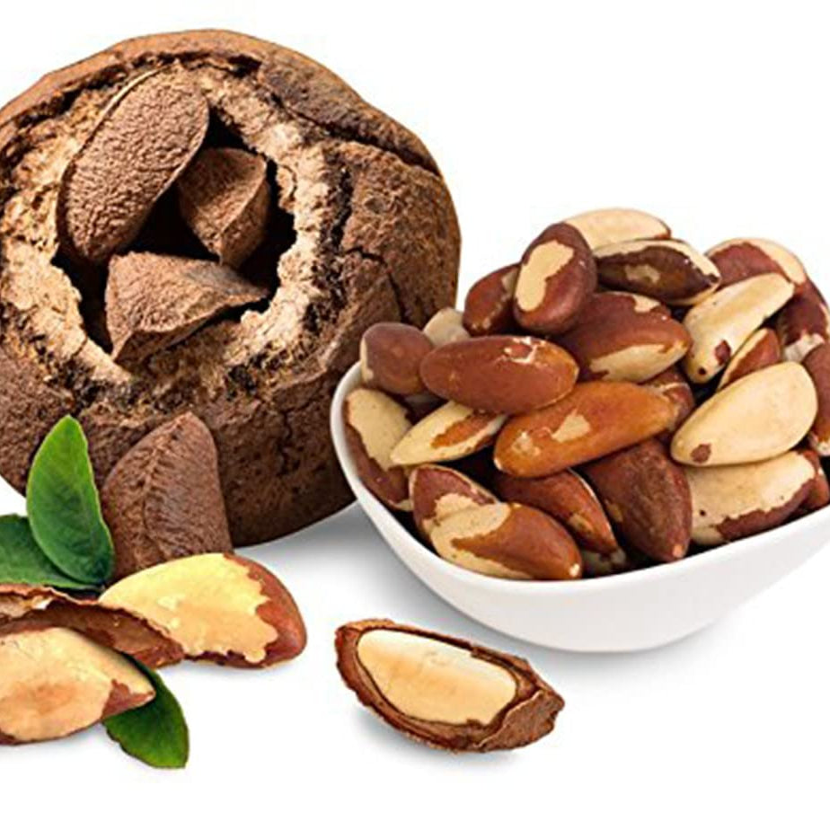 Premium Wild Harvested Raw Brazil Nuts, 1 lb (16oz) – High Selenium, Batch Tested Peanut & Gluten Free, Non-GMO, Kosher, Resealable Bag