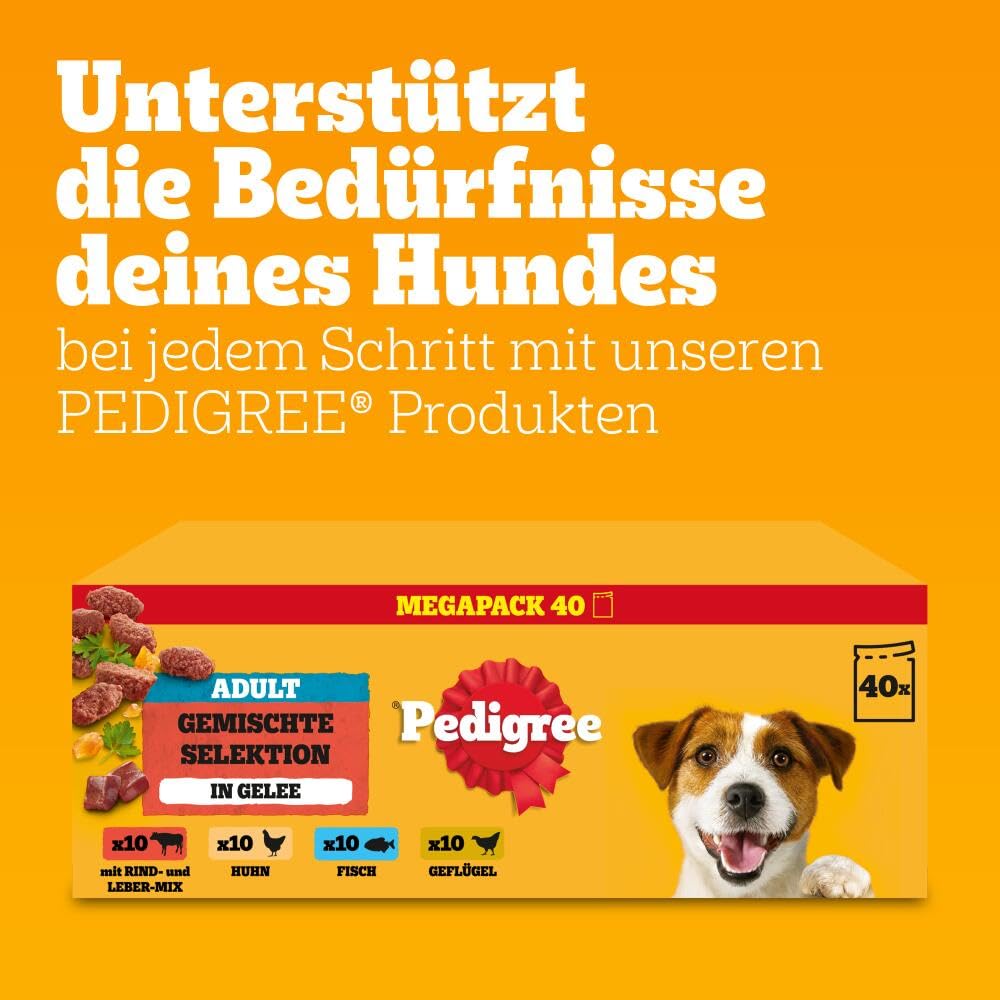 PEDIGREE DOGCARE Hundefutter Portionsbeutel Chunks in Soße Adult 40 x 100g