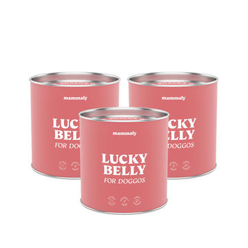 9-in-1 Probiotika für Deinen Hund - Lucky Belly Hypoallergen Allergie Fit ohne Huhn 120 Drops (350g) von mammaly-Bei Magenprobleme & Verdauungsprobleme für Magen-Darm,Verdauungssnacks bei Gras fressen