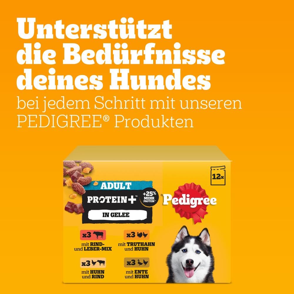 PEDIGREE DOGCARE Hundefutter Portionsbeutel Chunks in Soße Adult 40 x 100g