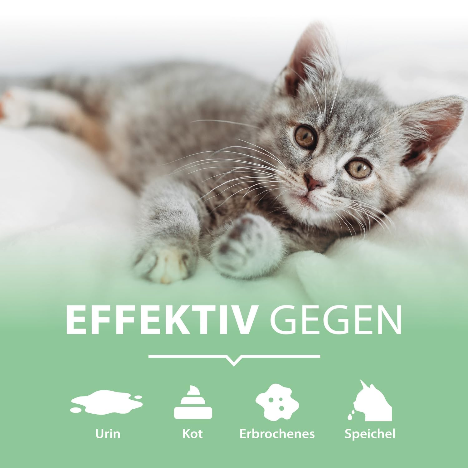 Enzymreiniger Katzenurin 750 ml – extrem stark gegen Katzenpipi, Uringeruch & Flecken – biologisch, tierfreundlich und für Sofa, Teppich, Textilien, Auto & Katzenklo – Pipi-Weg