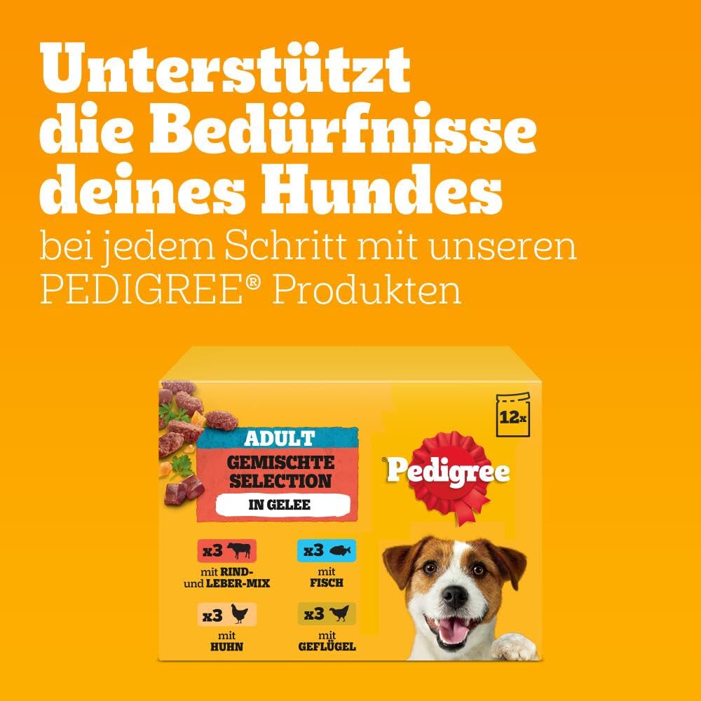 PEDIGREE DOGCARE Hundefutter Portionsbeutel Chunks in Soße Adult 40 x 100g