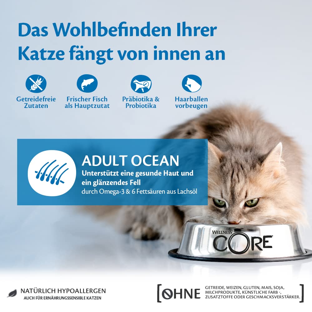 Wellness CORE Sterilised Ocean 4 kg, Lachs – Katzenfutter Trocken für sterilisierte Katzen, getreidefrei, natürlich, hypoallergen, proteinreich, unterstützt gesunde Haut und glänzendes Fell