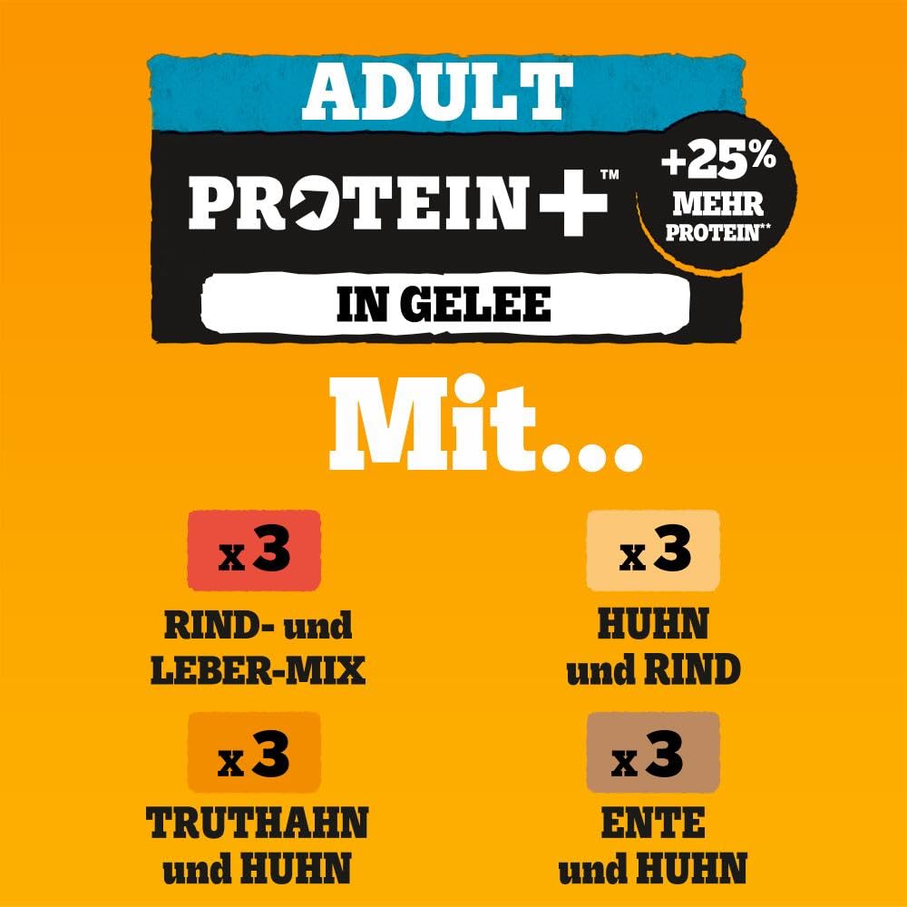 PEDIGREE DOGCARE Hundefutter Portionsbeutel Chunks in Soße Adult 40 x 100g