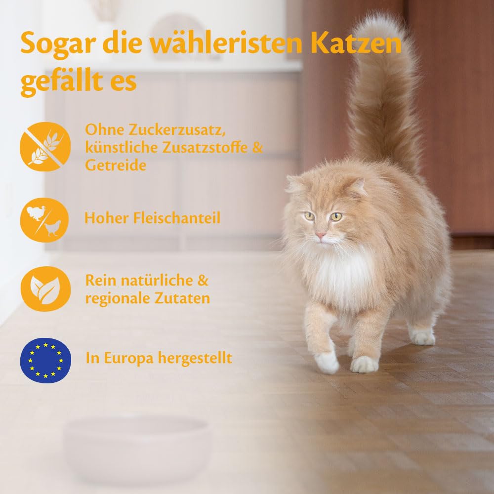 Wellness CORE Sterilised Ocean 4 kg, Lachs – Katzenfutter Trocken für sterilisierte Katzen, getreidefrei, natürlich, hypoallergen, proteinreich, unterstützt gesunde Haut und glänzendes Fell