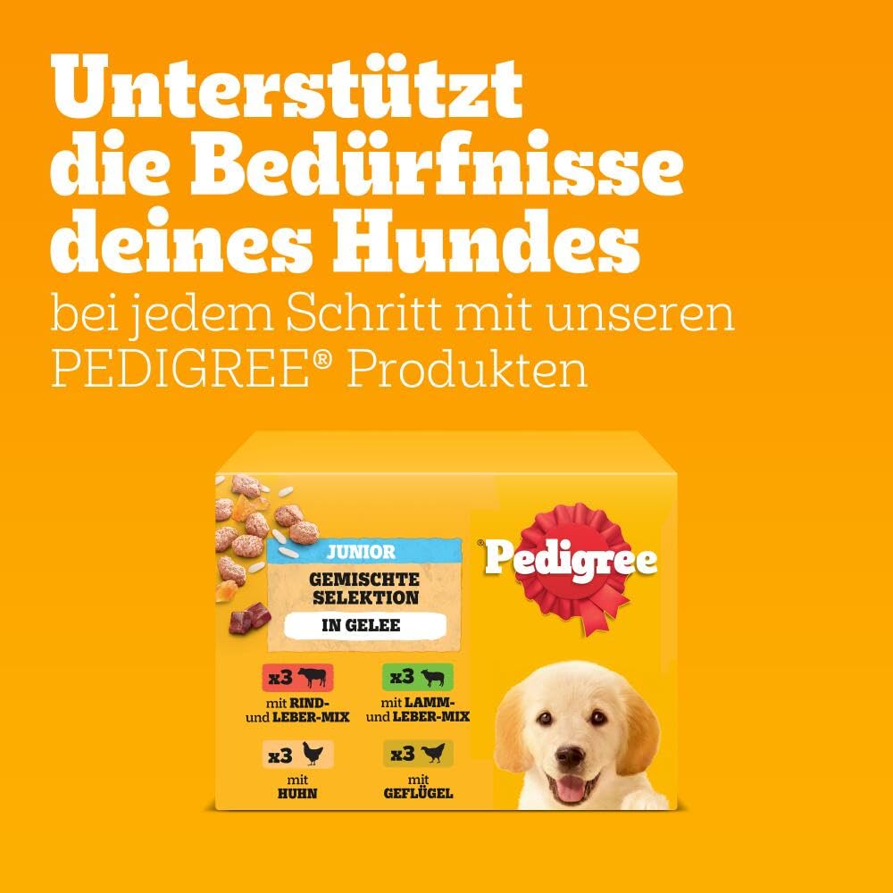 PEDIGREE DOGCARE Hundefutter Portionsbeutel Chunks in Soße Adult 40 x 100g
