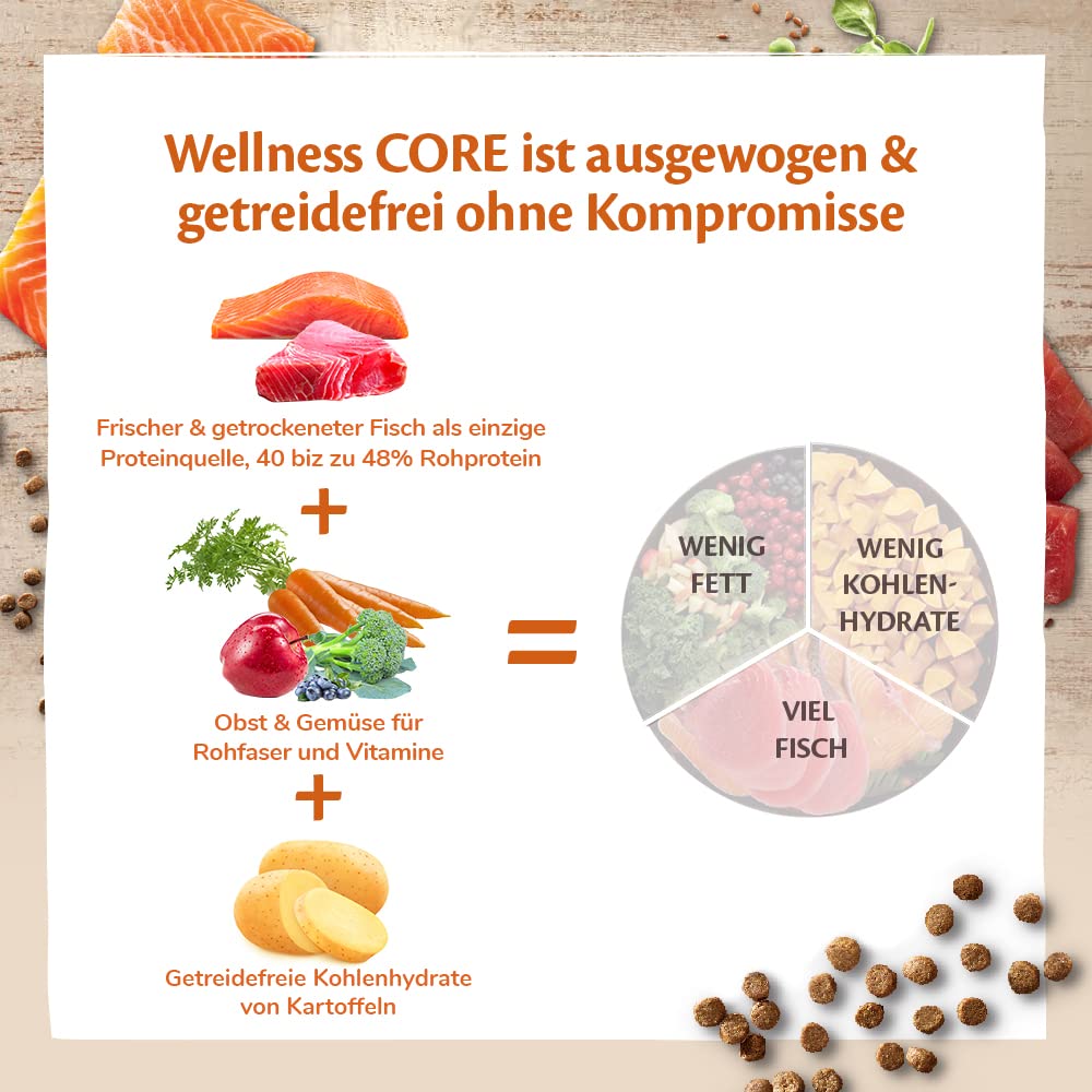 Wellness CORE Sterilised Ocean 4 kg, Lachs – Katzenfutter Trocken für sterilisierte Katzen, getreidefrei, natürlich, hypoallergen, proteinreich, unterstützt gesunde Haut und glänzendes Fell