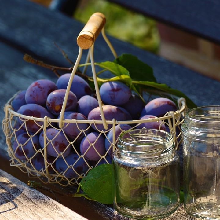Meßmer Ländertee | Italienische Limone | Früchtetee mit Zitronen-Aroma | 20 Teebeutel | süß-spritzig