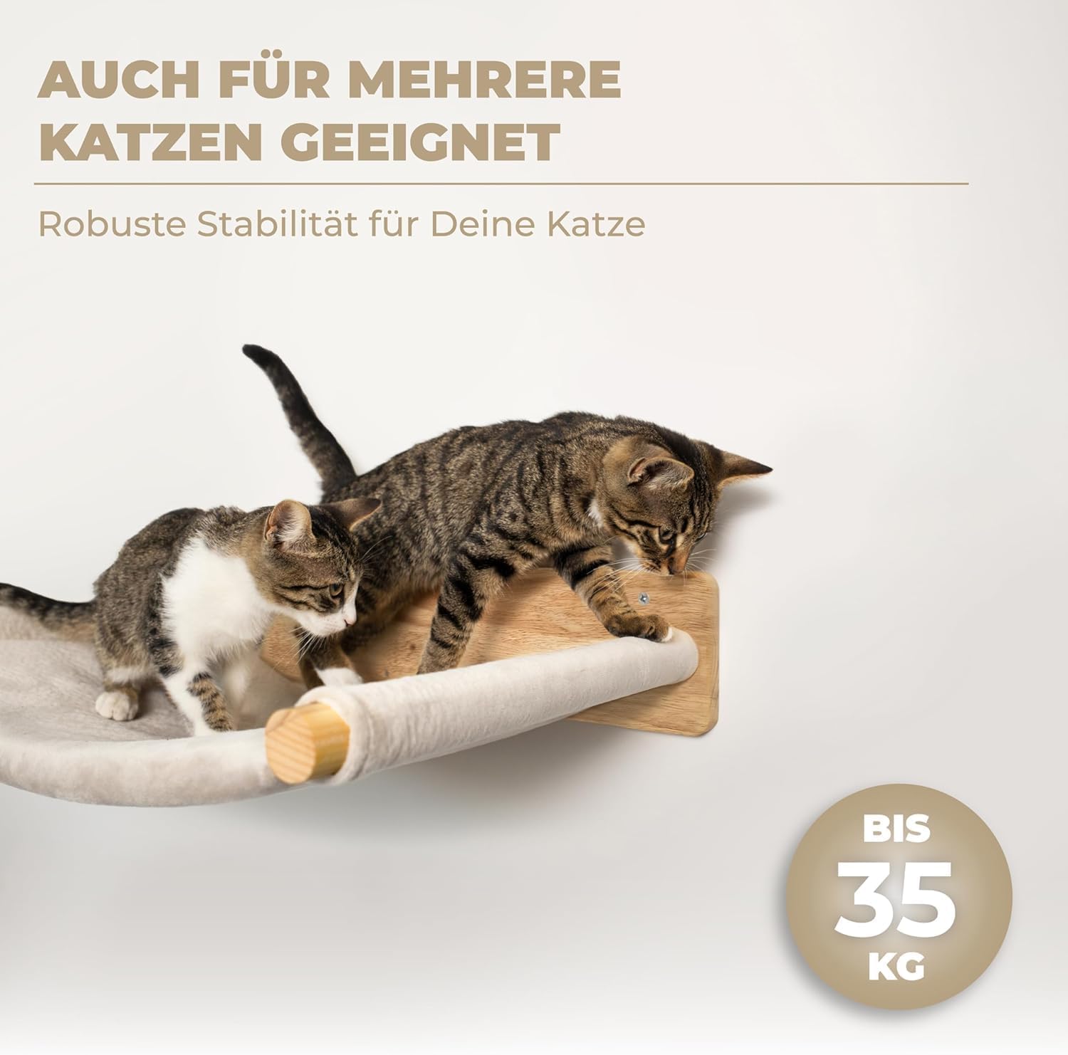 WOOWOOD® 2X Kletterwand Katzen - 3X Katzentreppe Wand- Kratzbaum Wand - Hängematte Katze - Wandkratzbaum - Katzenmöbel - Katzenwand - Katzen Kletterwand Set - Naturhell