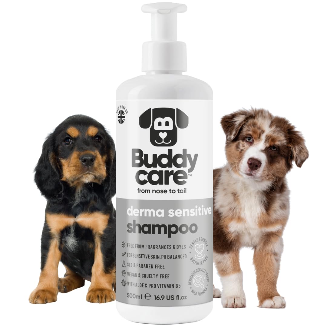 2in1 Hundeshampoo und Conditioner von Buddycare (500ml) - Praktisches Hundeshampoo langhaar und welpen Shampoo Mit Aloe Vera und Pro-Vitamin B5 Rückfettendes Shampoo Für Alle Hunderassen