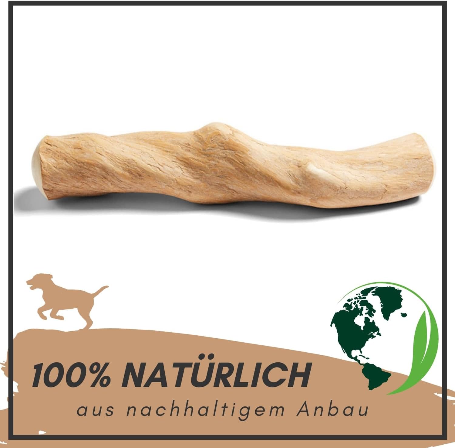 Supravit Natürlicher Kauknochen aus Kaffeeholz für Welpen XS | Mehr als EIN Holzstäbchen - spannendes Welpen Kauspielzeug & langanhaltende Beschäftigung | Kaustab Kauholz