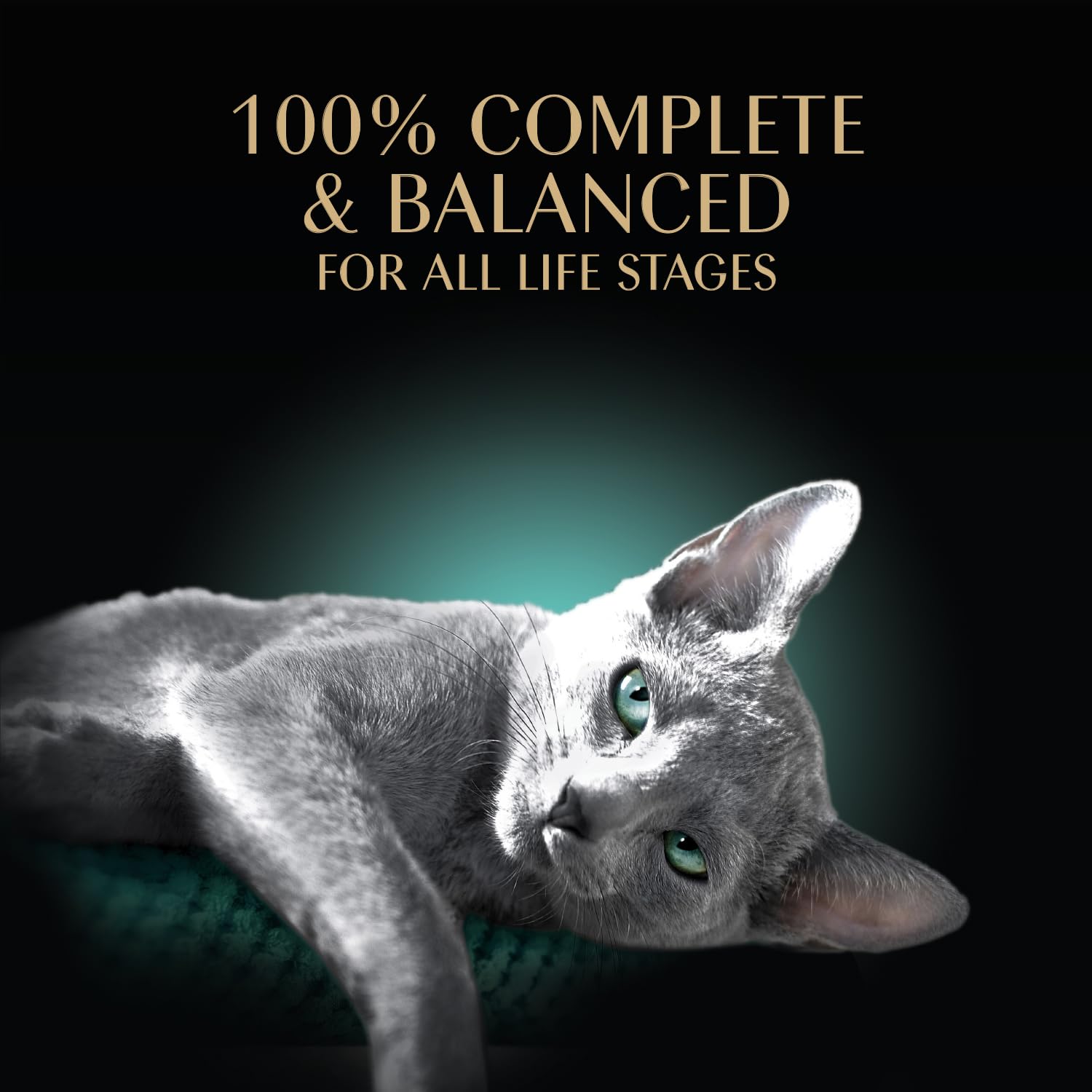 Sheba Perfect Portions Wet Cat Food Cuts in Gravy, Roasted Chicken Entree, with Sustainable Salmon, Tender Turkey Entree, 2.6 oz. Twin-Pack Trays (24 Count, 48 Servings)