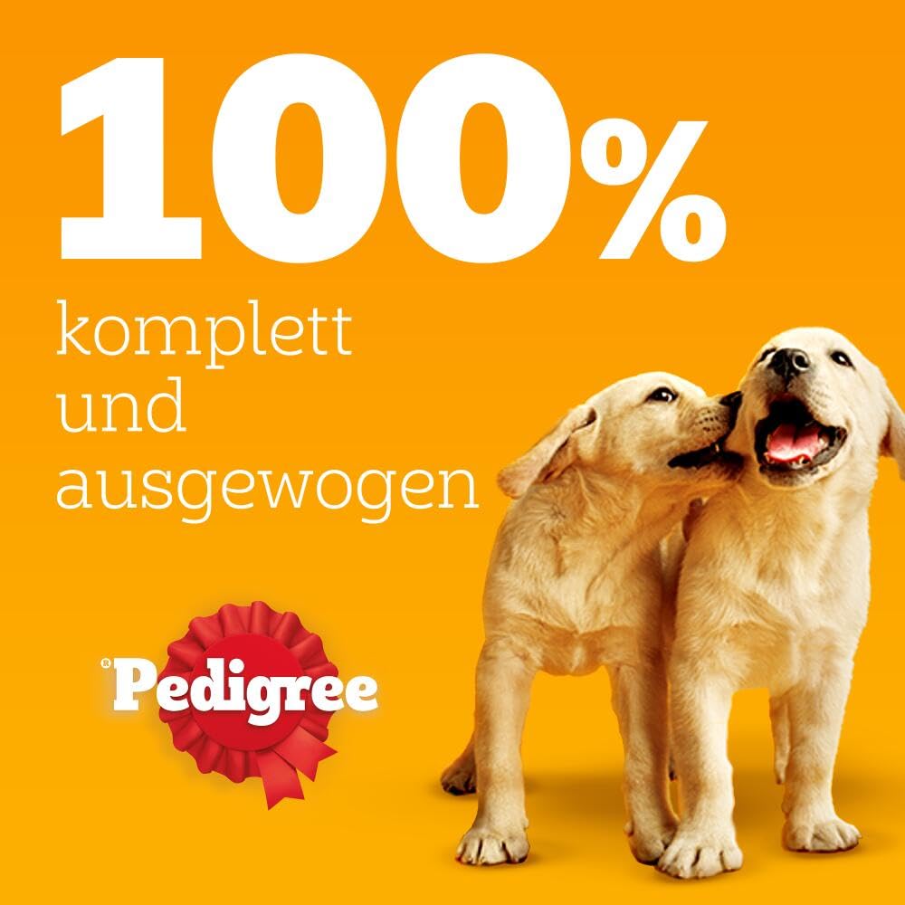 PEDIGREE DOGCARE Hundefutter Portionsbeutel Chunks in Soße Adult 40 x 100g