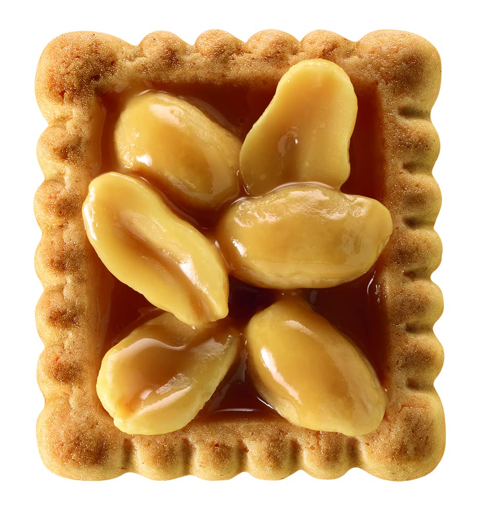 LEIBNIZ Original Butterkeks, 22er Snack Pack, die Nr 1 unter den Butterkeksen, knusprige Kekse in praktischer Großpackung (22 x 50 g), perfekt für unterwegs