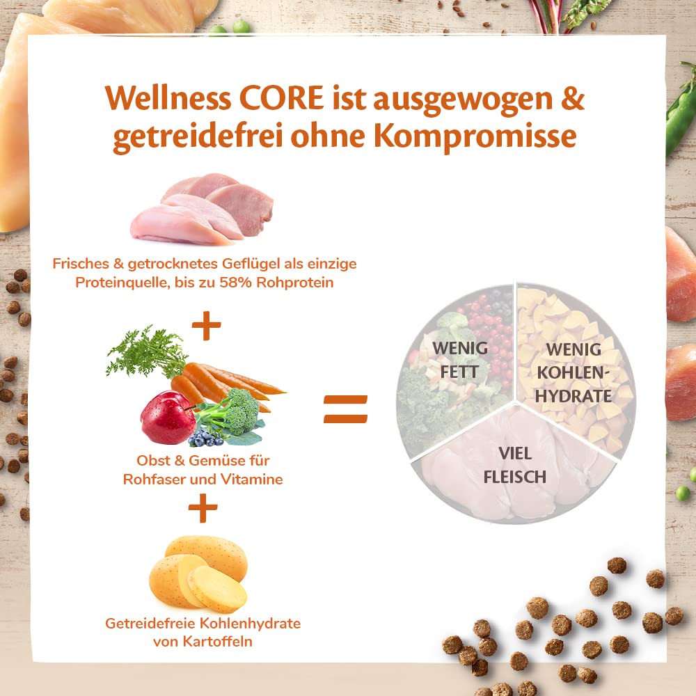 Wellness CORE Sterilised Ocean 4 kg, Lachs – Katzenfutter Trocken für sterilisierte Katzen, getreidefrei, natürlich, hypoallergen, proteinreich, unterstützt gesunde Haut und glänzendes Fell