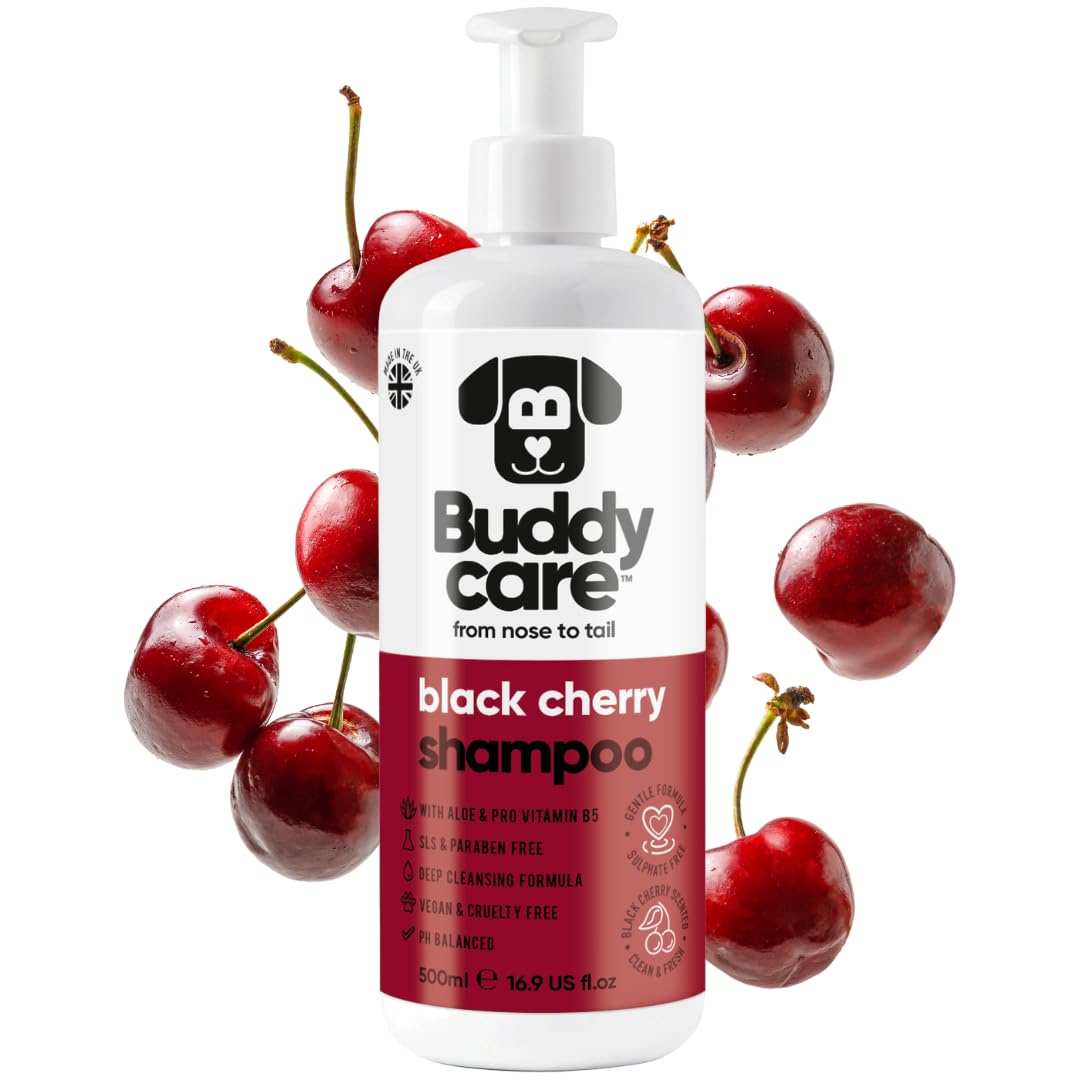 2in1 Hundeshampoo und Conditioner von Buddycare (500ml) - Praktisches Hundeshampoo langhaar und welpen Shampoo Mit Aloe Vera und Pro-Vitamin B5 Rückfettendes Shampoo Für Alle Hunderassen